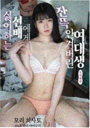 YY影院免费观看电视剧网站 我的阿勒泰